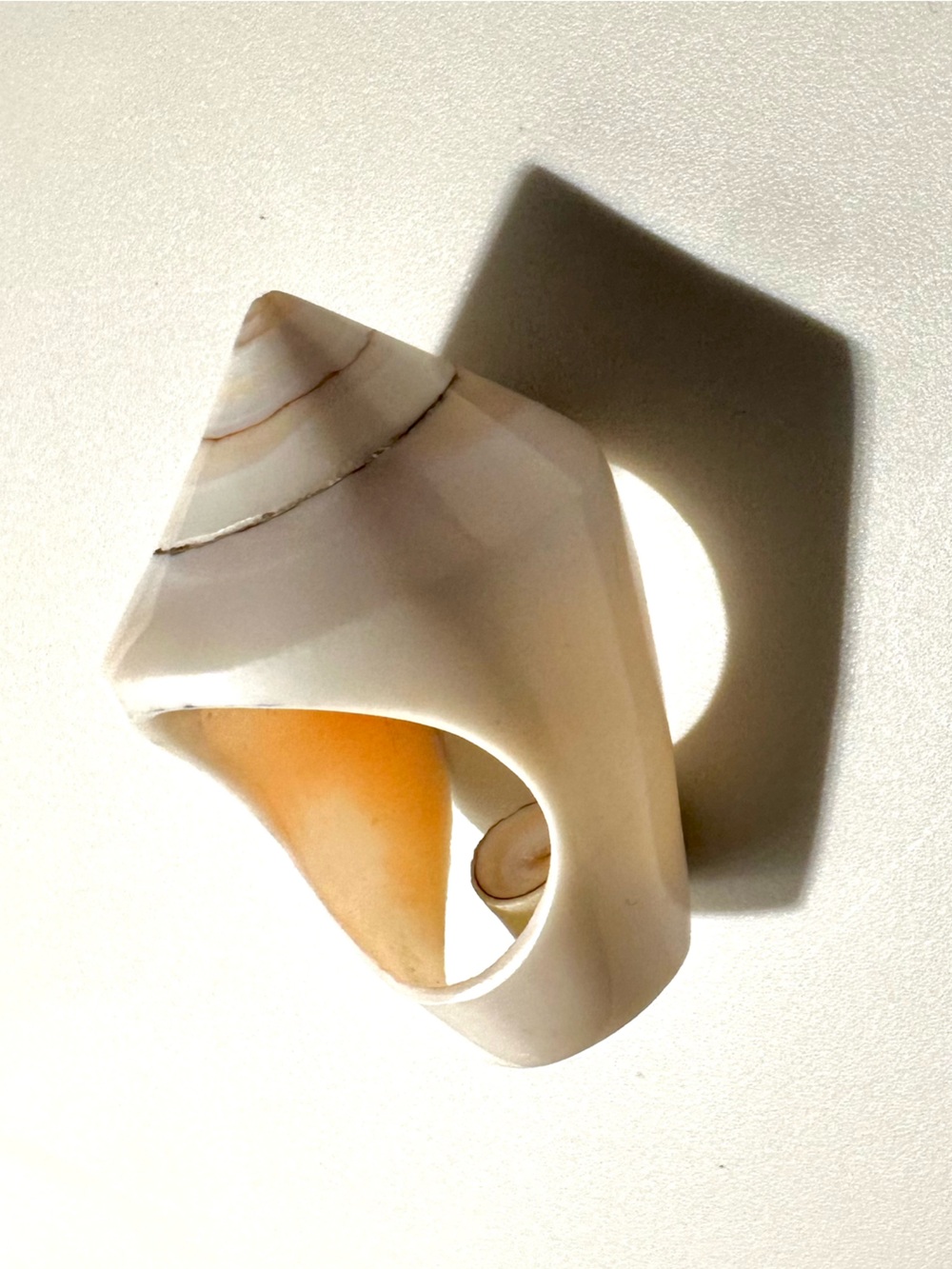 Shell Ring 🐚 Approx Size 6